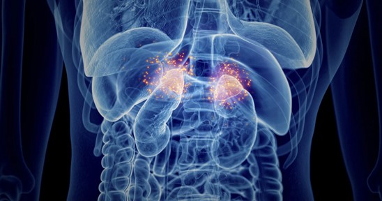 Adrenal Insufficiency