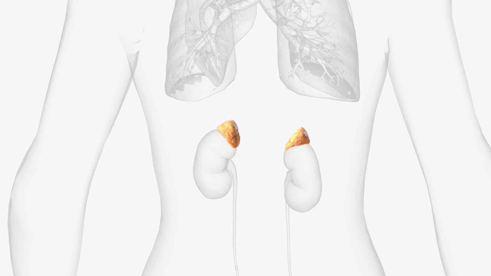 What Is Adrenal Fatigue?